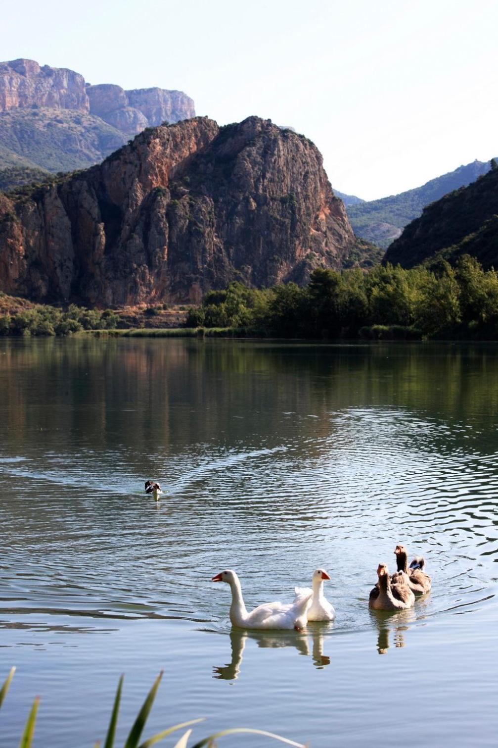 La Noguera Camping Sant Llorenç de Montgai Exteriör bild